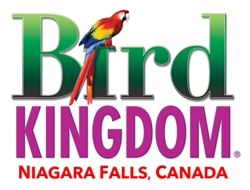 Bird Kindom Niagara Falls