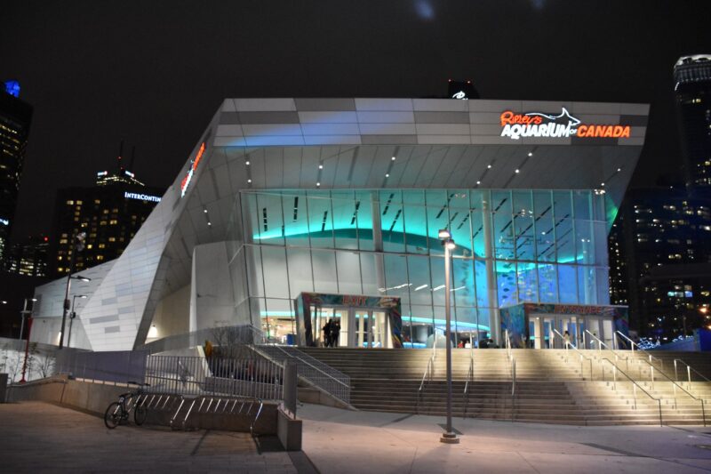TWO ADULT TICKETS TO RIPLEY’S AQUARIUM OF CANADA - Image 2