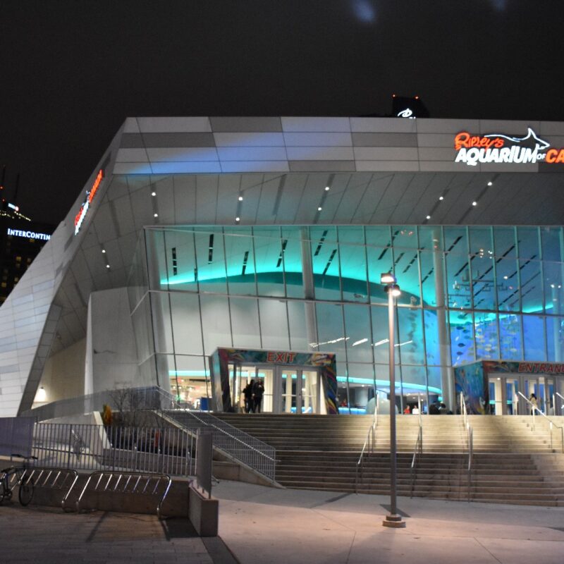 TWO ADULT TICKETS TO RIPLEY’S AQUARIUM OF CANADA