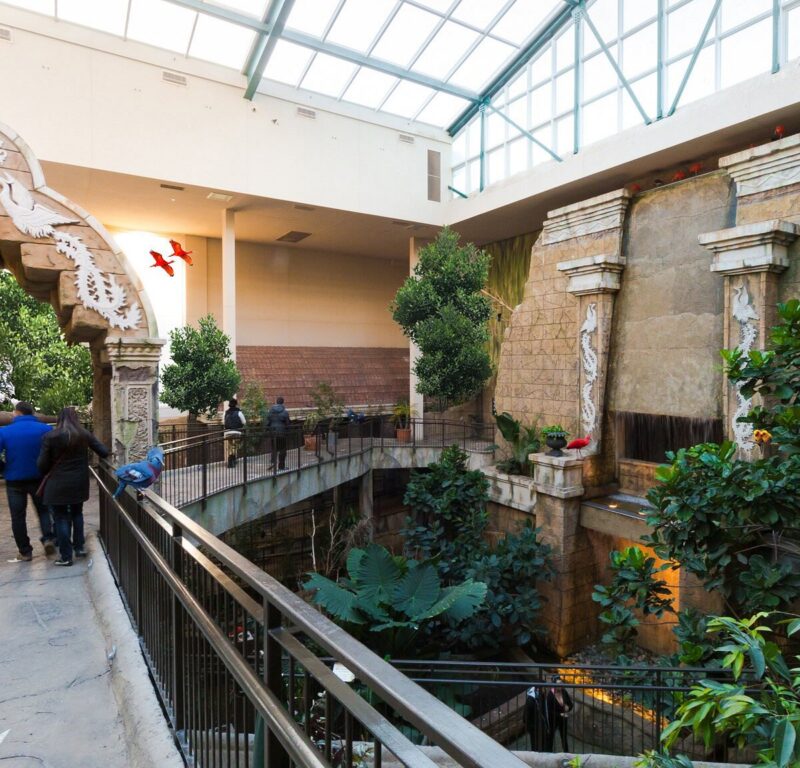 GENERAL ADMISSION TICKETS FOR 4 PEOPLE TO BIRD KINGDOM, NIAGARA FALLS, CANADA