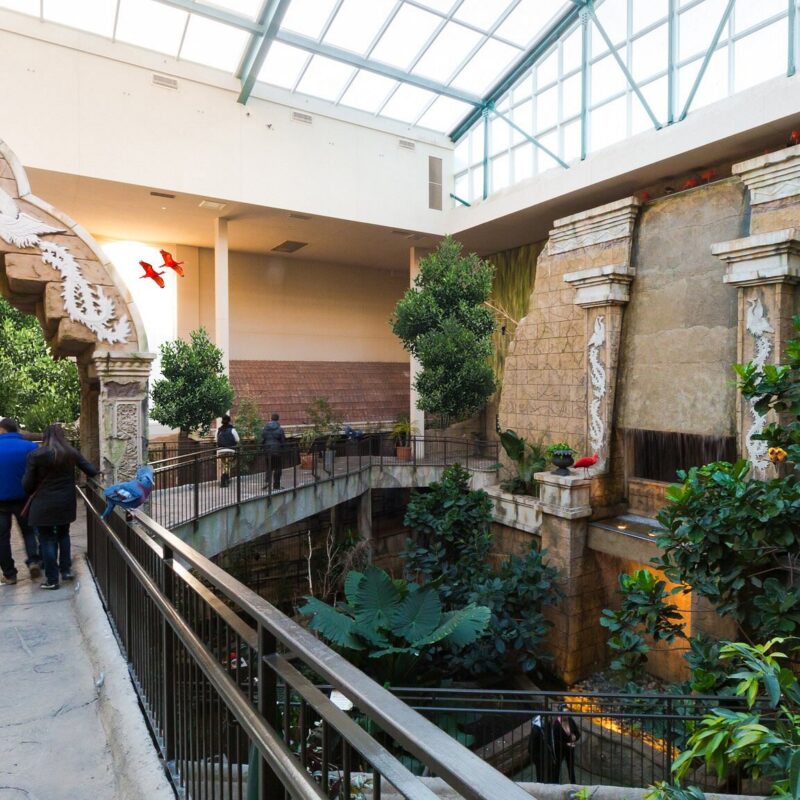 GENERAL ADMISSION TICKETS FOR 4 PEOPLE TO BIRD KINGDOM, NIAGARA FALLS, CANADA