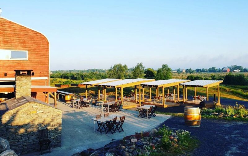 A CURATED WINERY TOUR & WINE TASTING FOR 4 GUESTS at NORMAN HARDIE WINERY & VINEYARD - Image 2