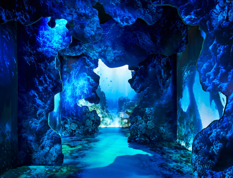 TWO TICKETS TO ARCADIA EARTH - Image 2