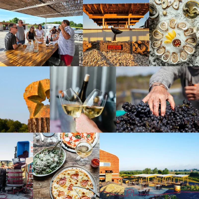 A CURATED WINERY TOUR & WINE TASTING FOR 4 GUESTS at NORMAN HARDIE WINERY & VINEYARD