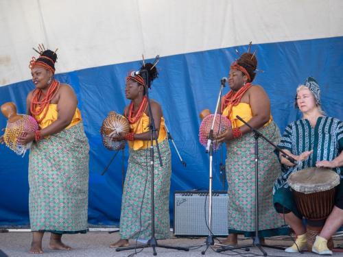 Afro Caribbean Festival 2014-08-24 15-22-08