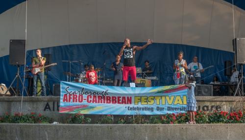 Afro Caribbean Festival 2015-08-22 18-37-37 