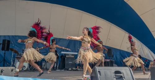 Afro Caribbean Festival 2015-08-23 17-13-56