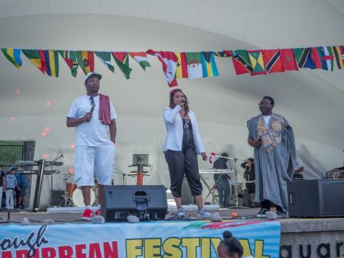 Afro Caribbean Festival 2017-08-27 20-05-30