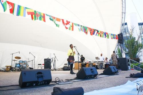 AFRO-CARIB FEST -10 (1)