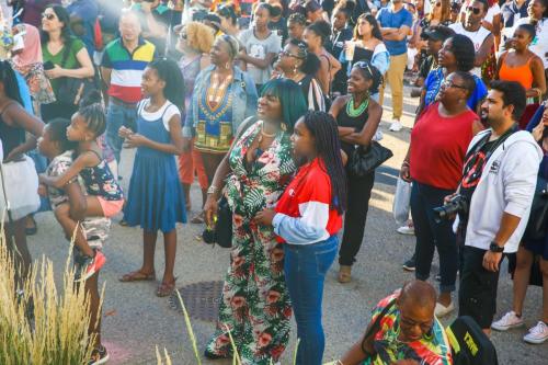 AFRO-CARIB FEST -263 (1)