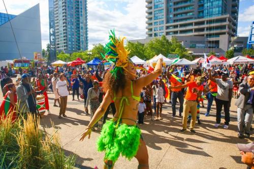 AFRO-CARIB FEST -264