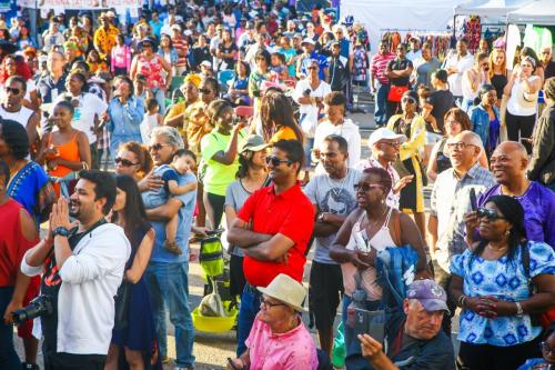AFRO-CARIB FEST -264 (1)