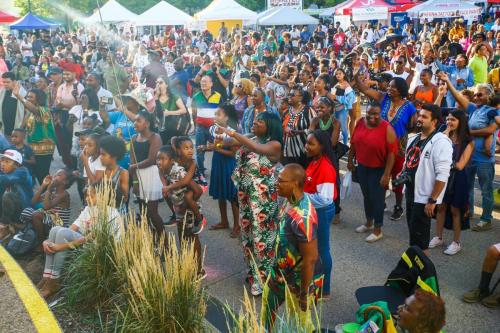 AFRO-CARIB FEST -266