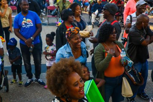 AFRO-CARIB FEST -271 (1)