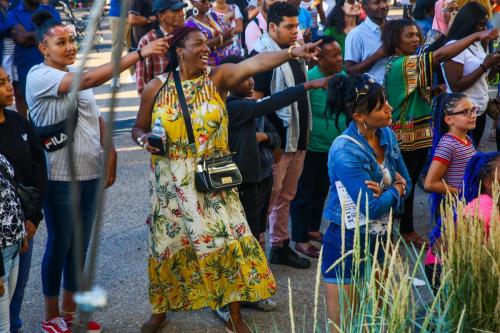 AFRO-CARIB FEST -272 (1)