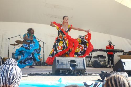 AFRO-CARIB FEST -289