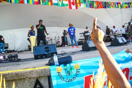 AFRO-CARIB FEST -305 (1)