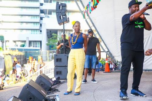 AFRO-CARIB FEST -316 (1)