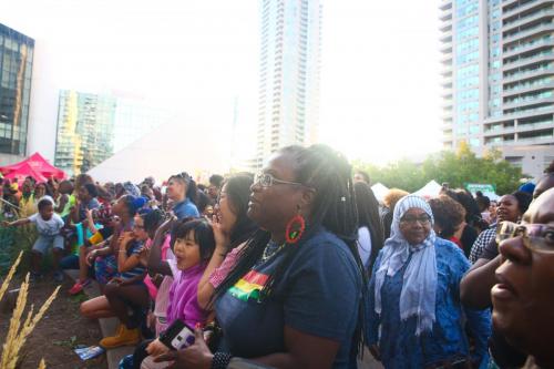 AFRO-CARIB FEST -487