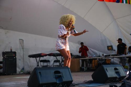 AFRO-CARIB FEST -524