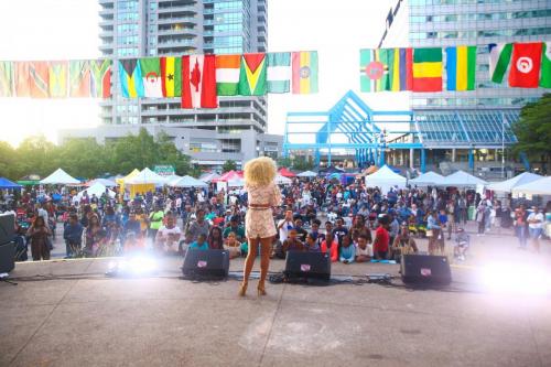 AFRO-CARIB FEST -530