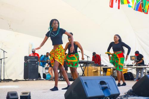 AFRO-CARIB FEST -76